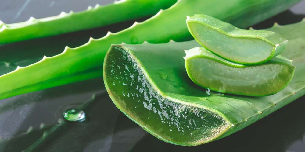 aloe vera proprietà