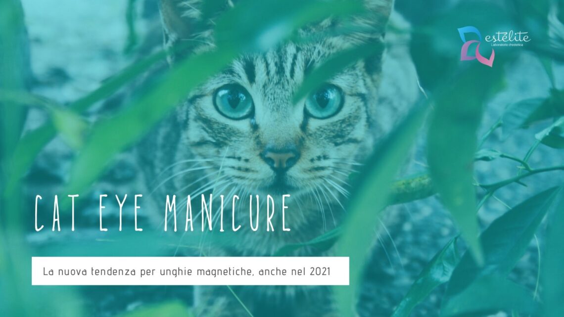 Cat Eye Manicure